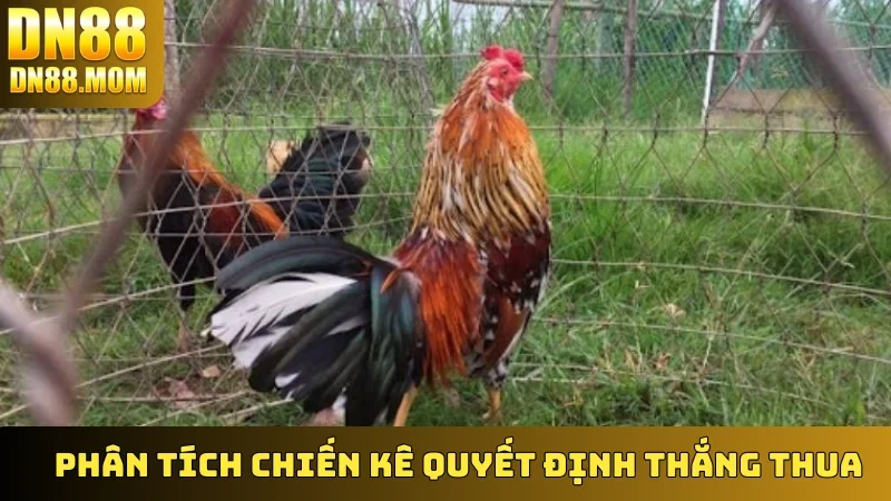 Phân tích chiến kê quyết định thắng thua