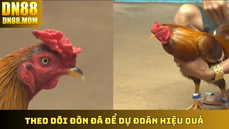 Theo dõi đòn đá để dự đoán hiệu quả